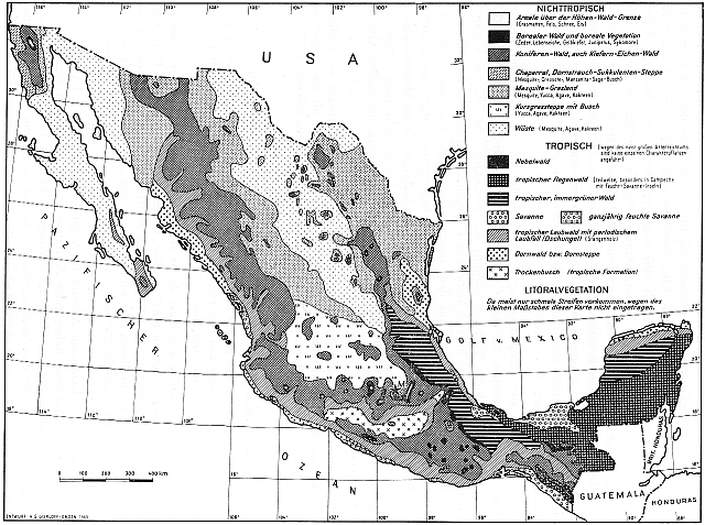 Vegetationsformationen von Mexico